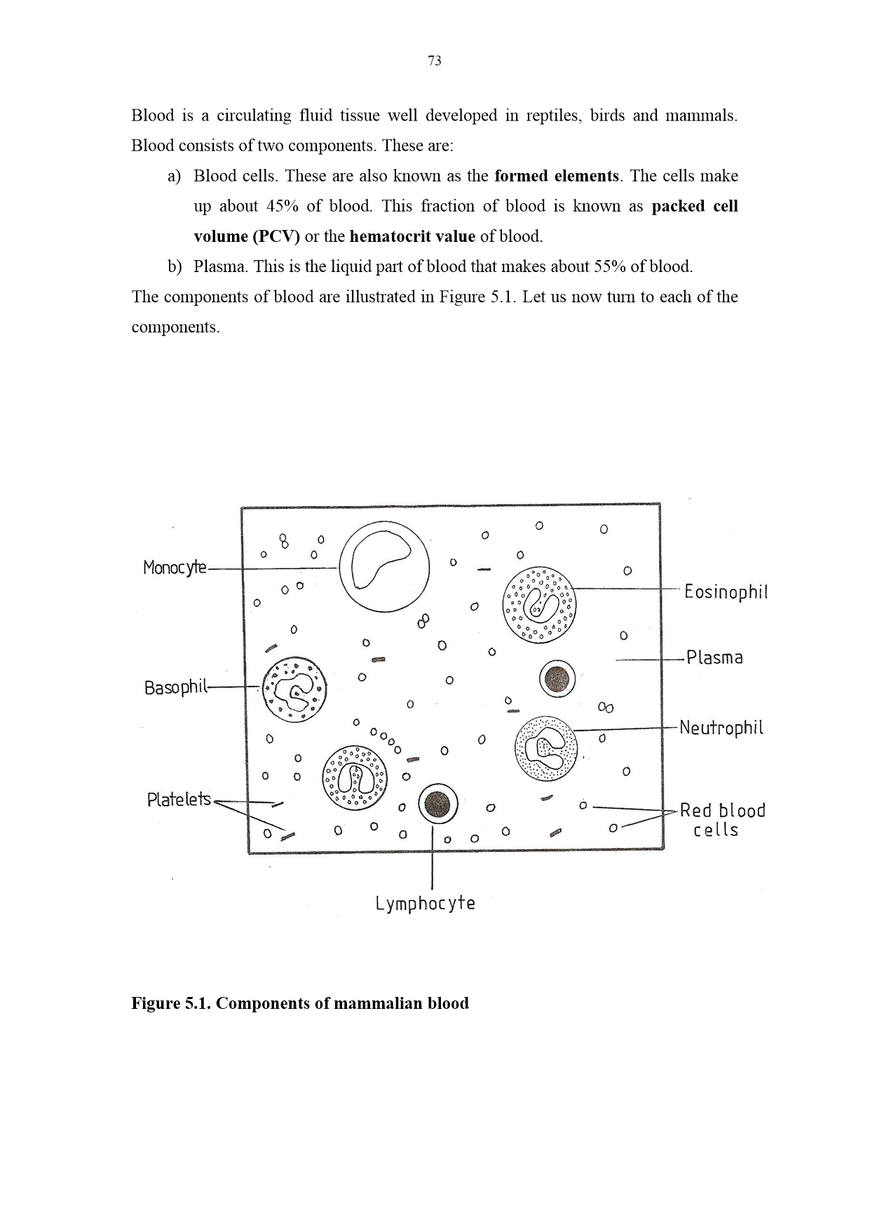 No preview available